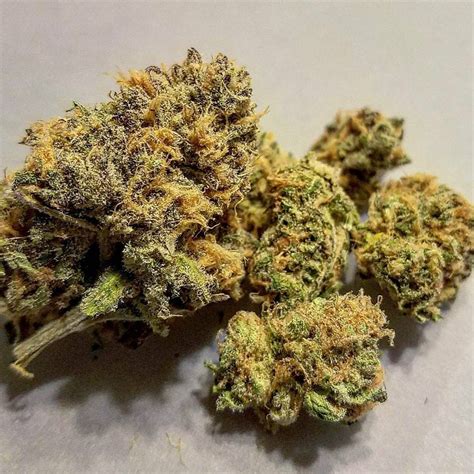 Its unmistakable strawberry flavor is the result of crossbreeding by cannabis pioneer Kyle Kushman. . Leafly strawberry cough